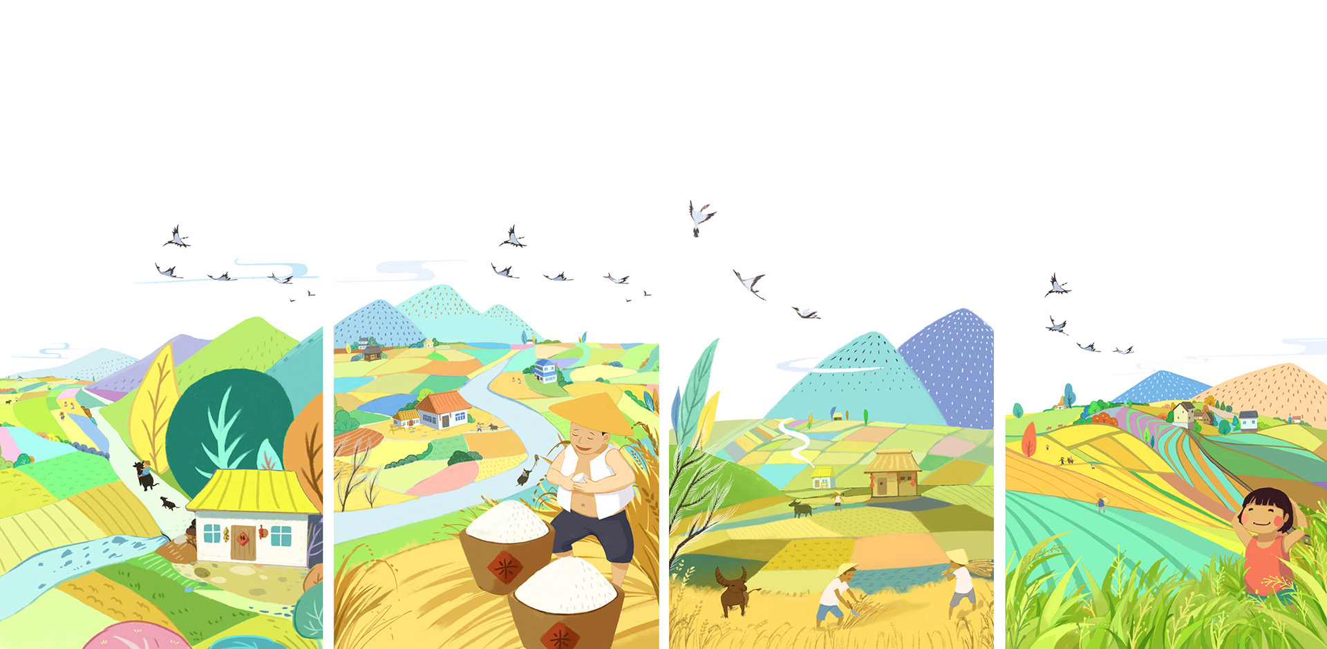 源豐米業大米系列插畫創作